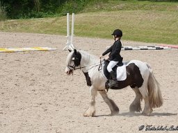 img-99731-619